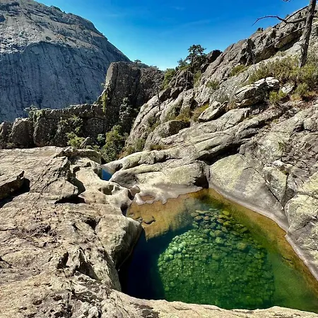 D'hote Cosy L'aghja * Carbuccia