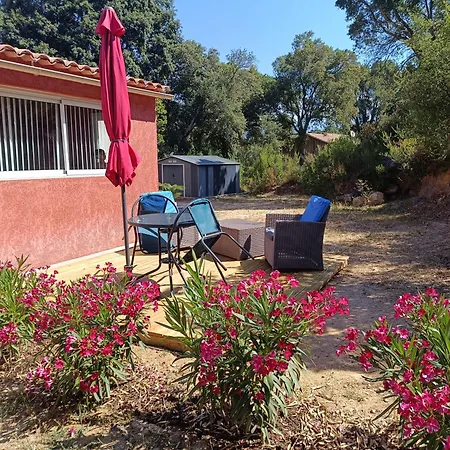 ゲストハウス D'hote Cosy L'aghja