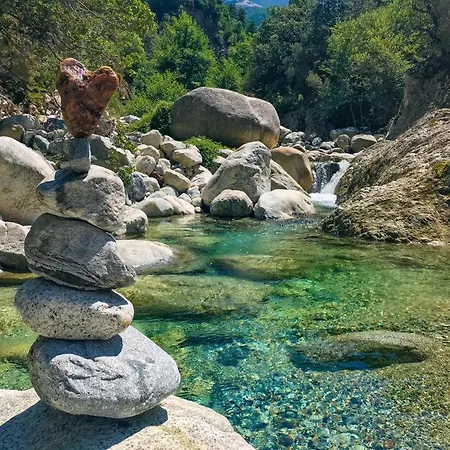 Гостевой дом D'hote Cosy L'aghja *