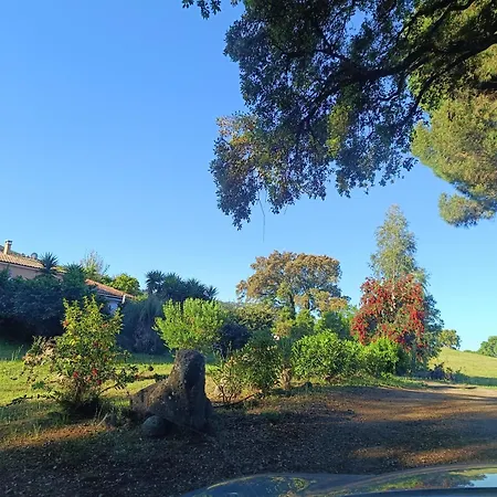 D'hote Cosy L'aghja Гостевой дом *