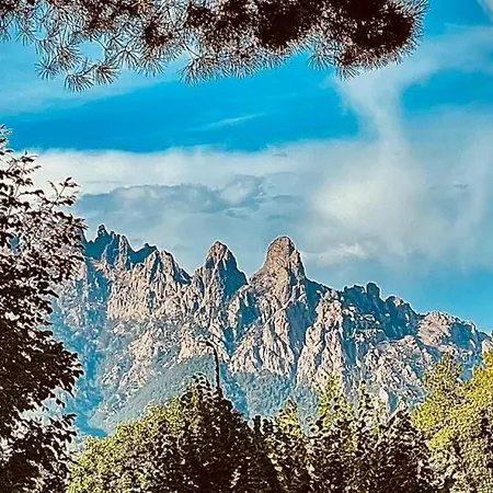 D'hote Cosy L'aghja *