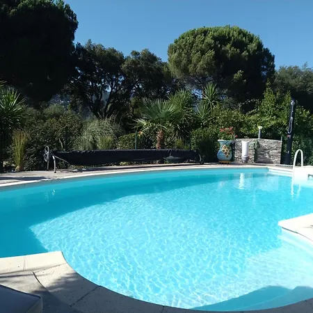 D'hote Cosy L'aghja * Carbuccia