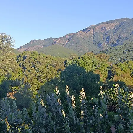 D'hote Cosy L'aghja 3* Carbuccia