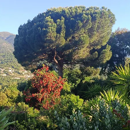 D'hote Cosy L'aghja Guest house 3*