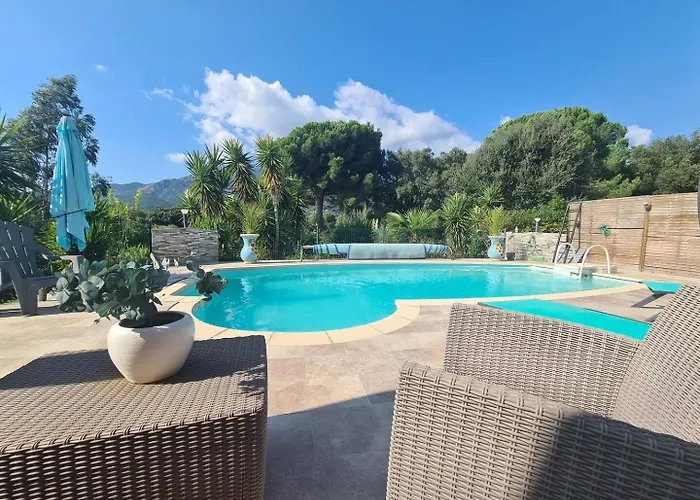 D'hote Cosy L'aghja 招待所 *