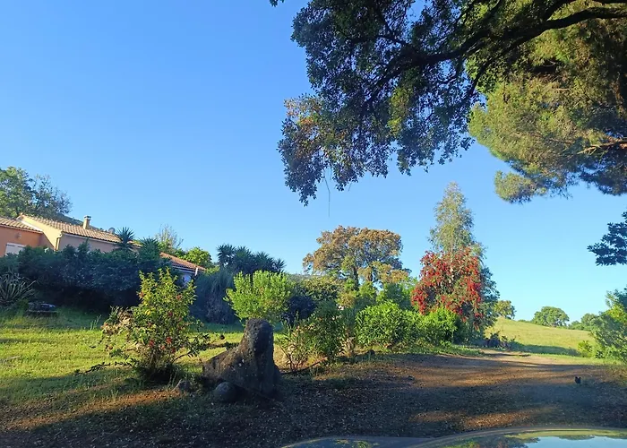 D'hote Cosy L'aghja 招待所 *