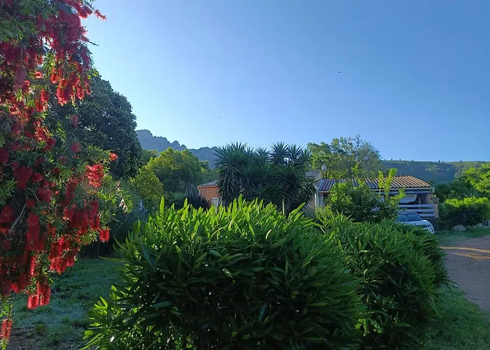 D'hote Cosy L'aghja 招待所 *