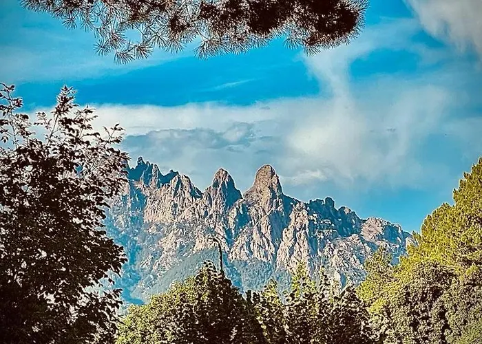 D'hote Cosy L'aghja *