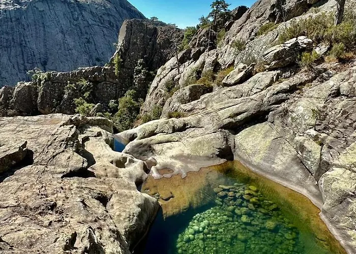 D'hote Cosy L'aghja * Carbuccia