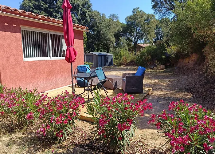 招待所 D'hote Cosy L'aghja