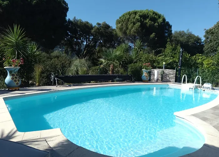 D'hote Cosy L'aghja * Carbuccia