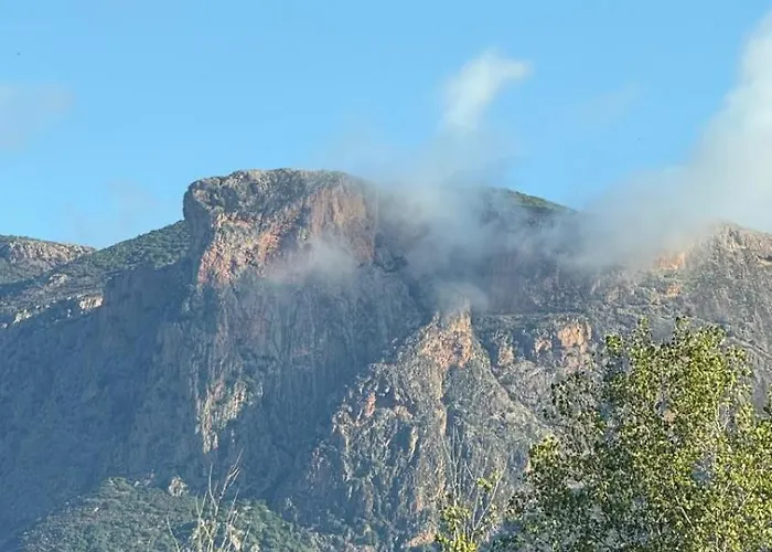 D'hote Cosy L'aghja 招待所 *